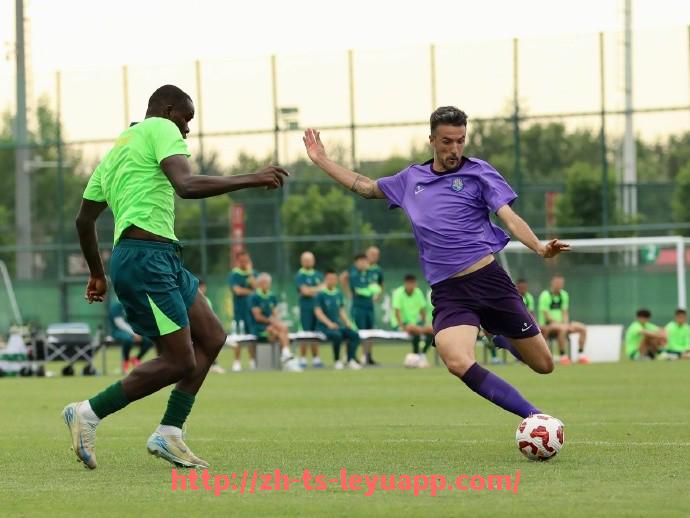 乐鱼体育入口-德甲球队队名的特色和命名由来大全