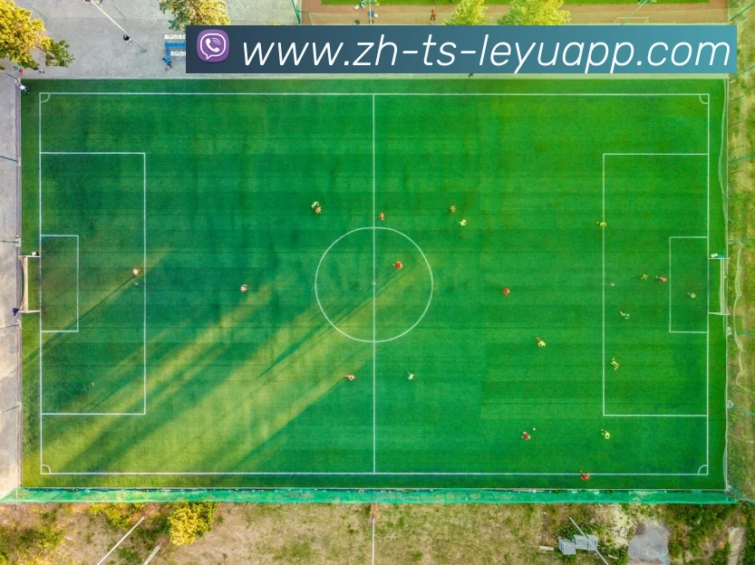 App Interface Preview