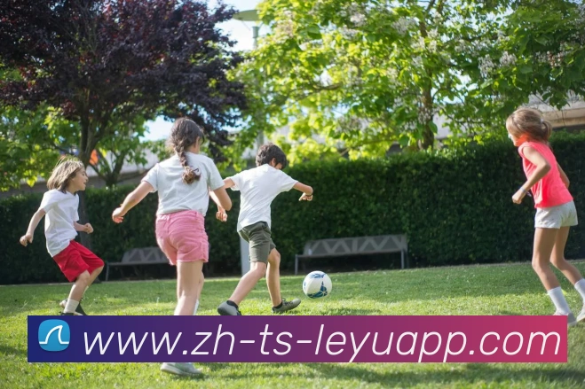 乐鱼体育APP 封面图