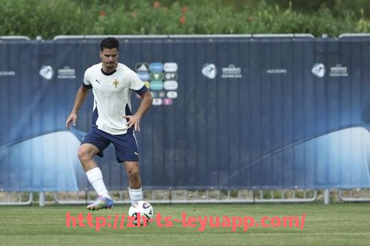 乐鱼体育入口-英超降级球队补助：英超联赛中降级球队的财政补助与支持